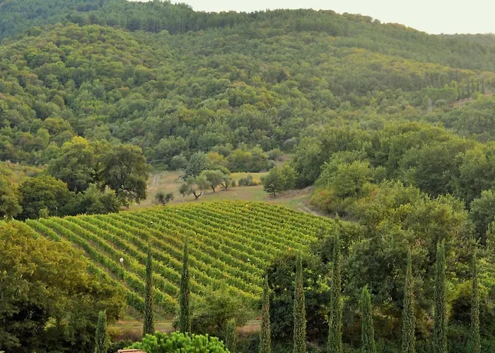 Tenuta Le Pianore